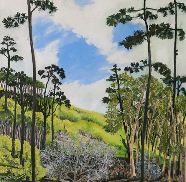 Coastal Woods