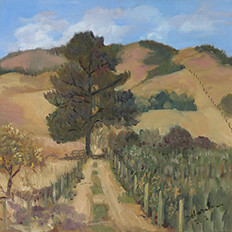 Elkhorn Slough Pasture