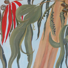 Eucalyptus Leaves